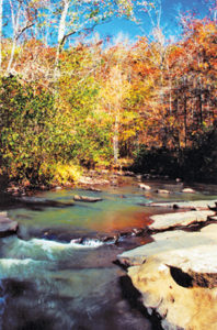 Peachtree City