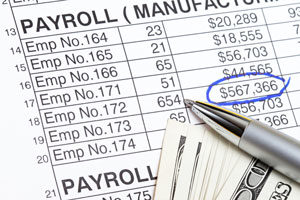 Payroll Professional