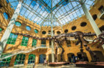 A Kid-Friendly Guide to Atlanta