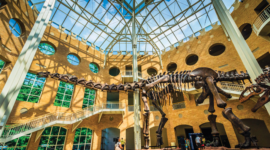 A Kid-Friendly Guide to Atlanta
