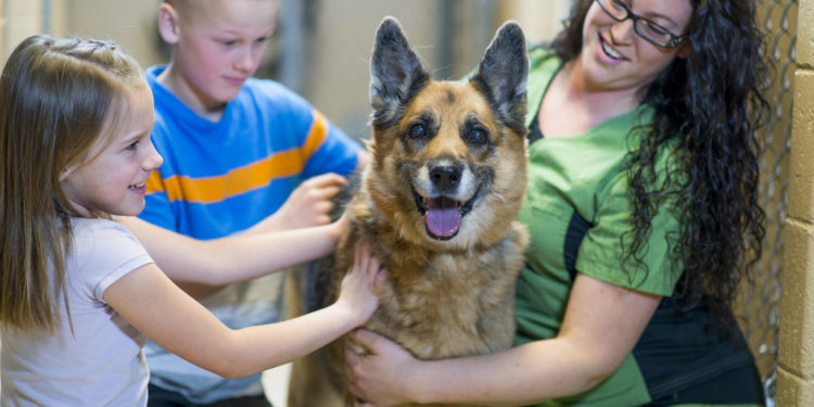 pet-friendly new homes