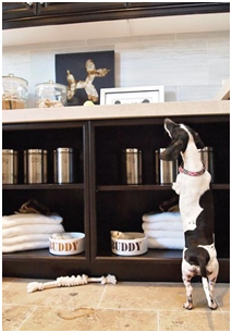 Dog Station by The Providence Group