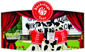 Chick-fil-A Cows