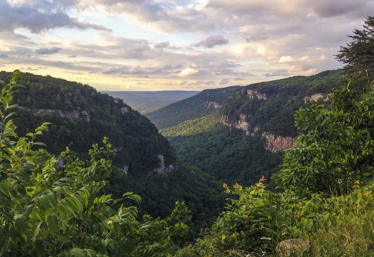 Cloudland Canyon State Park