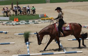 Georgia International Horse Park in Conyers