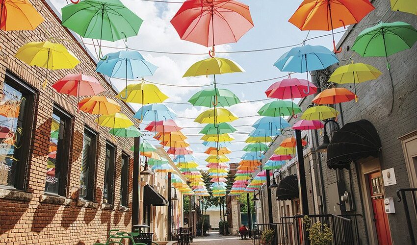 12 No-Cost Activities to do in Conyers, Georgia