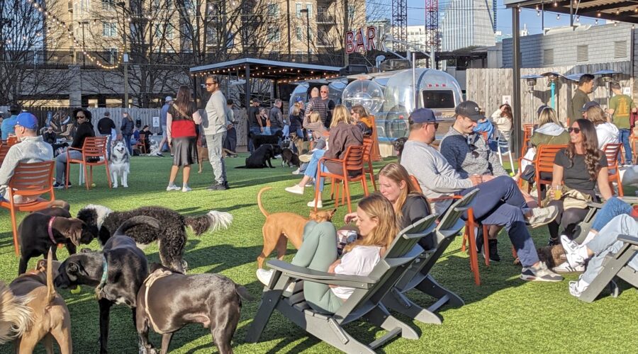 Top-Rated Dog Parks in Atlanta for Off-Leash Fun