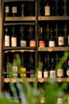 Fayetteville's Growing Craft Beverage Scene